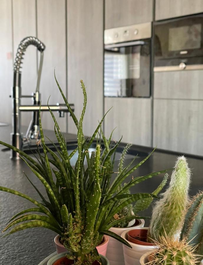 Coolhuys 84 Villa Brugge Ngoại thất bức ảnh